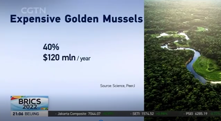 “基因密碼”：中企助力巴西生物多樣性保護